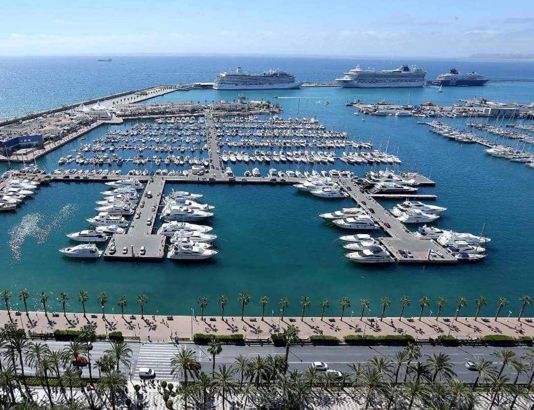 Charming Apartment In Alicante Near The Sea & City Center Buitenkant foto