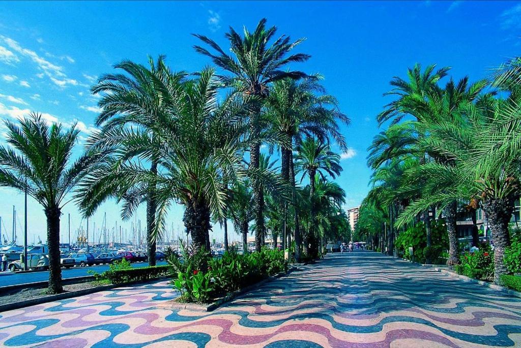 Charming Apartment In Alicante Near The Sea & City Center Buitenkant foto